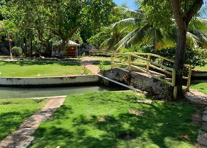 Contemporary Ocean View 2bed Carib Apartment