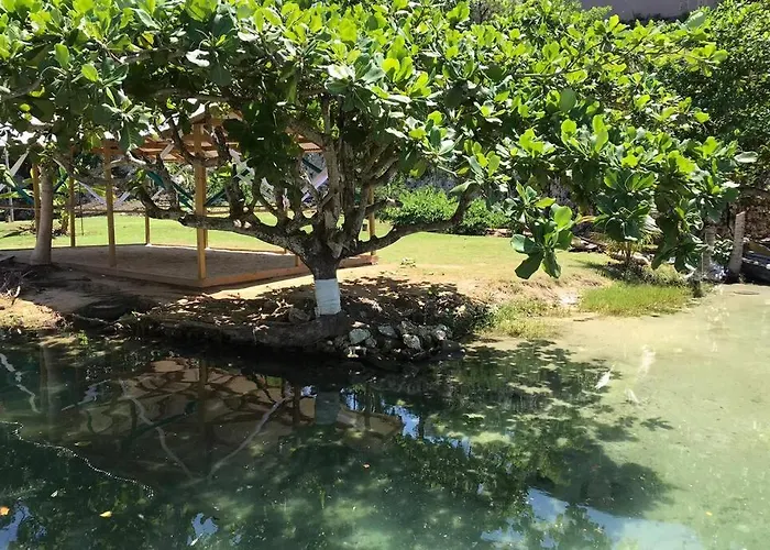 Contemporary Ocean View 2bed Carib Apartment *